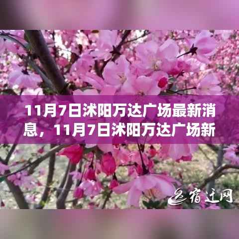 沭阳万达广场最新动态，11月7日新篇章开启，变化中的学习成就自信与辉煌