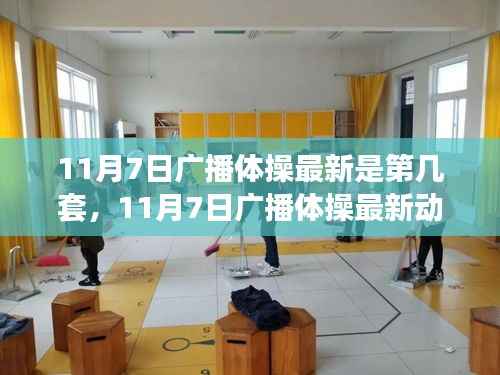 11月7日广播体操最新动态,全新套数焕发活力