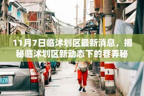 临沭划区最新动态揭秘，特色小店独特风情与巷弄秘境的探寻