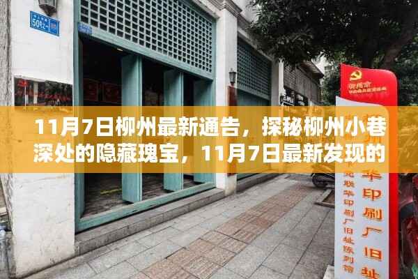探秘柳州小巷深处的隐藏瑰宝,最新发现特色小店(11月7日柳州最新通告)