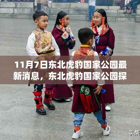 东北虎豹国家公园探秘,与自然共舞的心灵宁静之旅(最新消息)