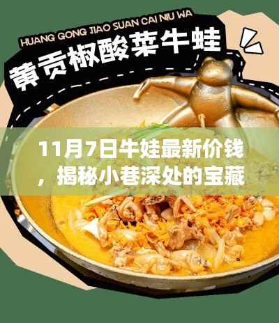 探寻牛娃最新价钱,揭秘小巷深处的宝藏之旅