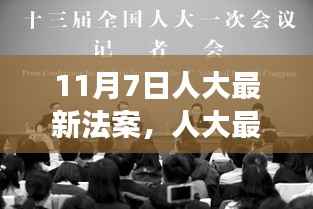人大最新法案背后的秋日友情奇妙旅程,温馨故事揭秘