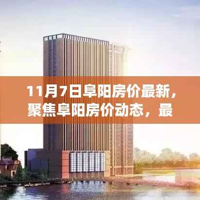 11月7日阜阳房价最新动态及趋势展望