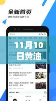 11月10日黄油软件最新版下载指南,功能亮点与操作详解