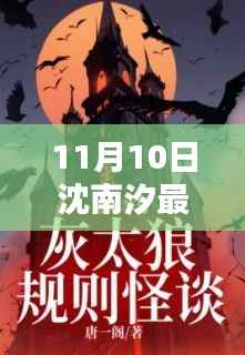 探寻时代背景下的文学印记,沈南汐最新小说十一月十日之篇章发布