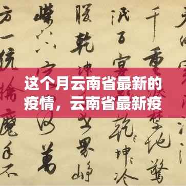 关于我们 第363页