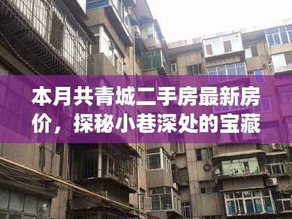 本月共青城二手房最新房价揭秘,小巷深处的宝藏与独特小店的故事