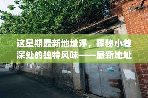 最新地址浮特色小店之旅,探秘小巷深处的独特风味