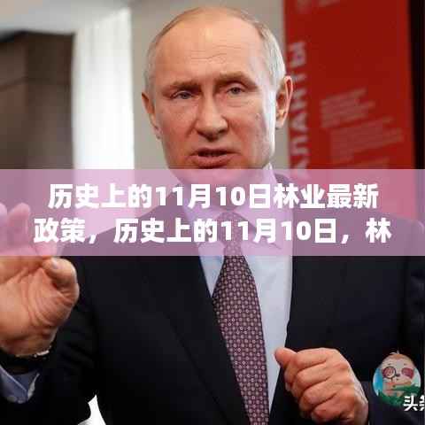 历史上的11月10日林业最新政策深度解读与评测报告