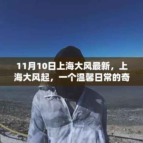 上海大风奇遇记,温馨日常的变幻之旅(11月10日最新)