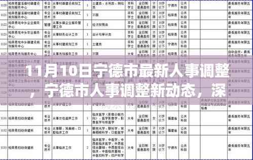 宁德市人事调整最新动态,深度解析与观点碰撞(11月10日更新)