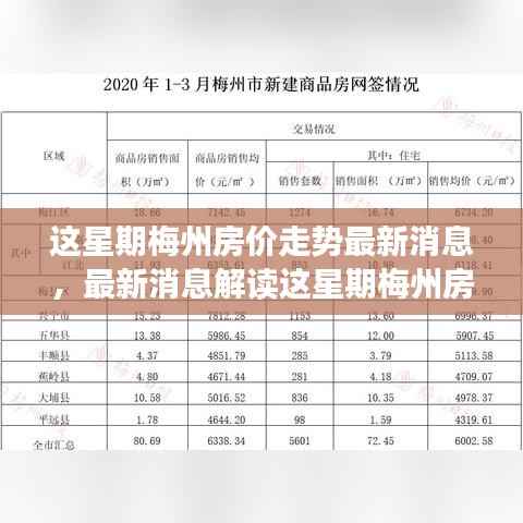 梅州最新房价走势解读,指南与应对策略