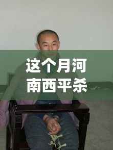 河南西平最新杀人案全面解析,案件进展与应对方法揭秘