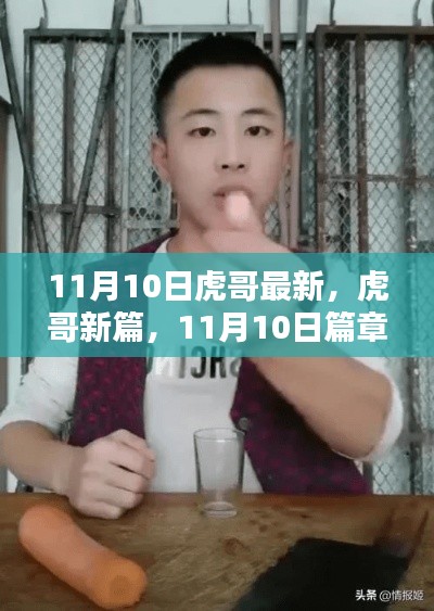 11月10日虎哥新篇章,回响与影响的深邃探索