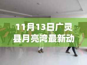 广灵县月亮湾发展动态,最新进展与多元视角探讨(11月13日)