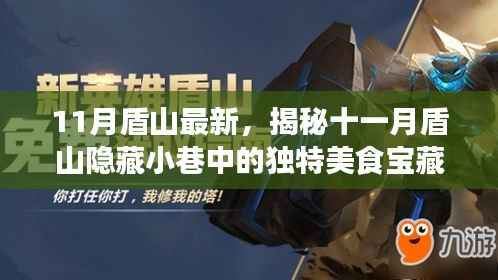 揭秘十一月盾山隐藏美食宝藏,独特小巷中的特色小店