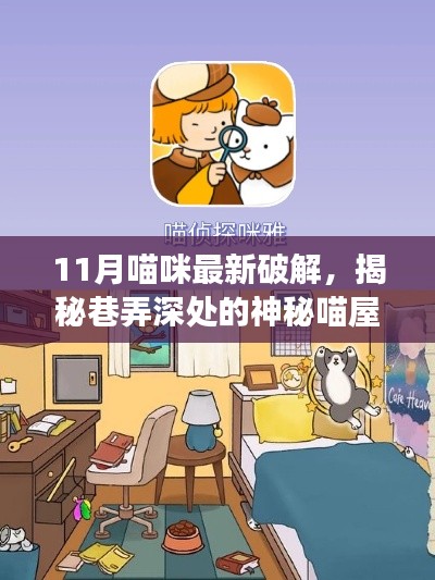 揭秘巷弄深处的神秘喵屋,11月猫咪最新破解与独特小店的奇妙邂逅
