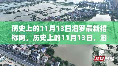 历史上的11月13日,汨罗招标网点亮智慧之光,成就梦想之旅