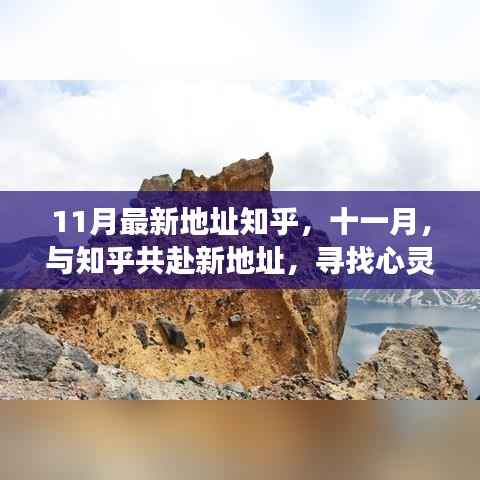 知乎十一月新地址探索,寻找心灵静谧的角落