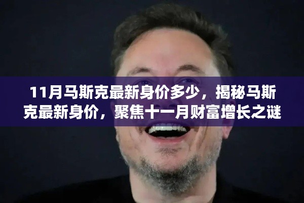 揭秘马斯克最新身价,聚焦十一月财富增长之谜,马斯克最新身价揭晓!