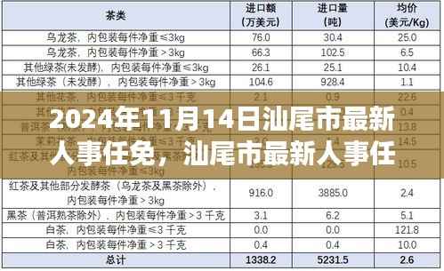 汕尾市人事任免最新动态,高效完成流程指南(附时间表和关键步骤)