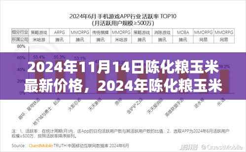 2024年陈化粮玉米最新价格详解,查询与理解指南