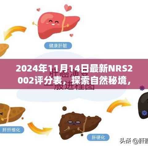 全新NRS2002评分表引领心灵之旅,探索自然秘境的极致体验