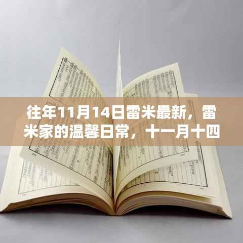 雷米家的温馨日常,十一月十四日的惊喜与陪伴时刻