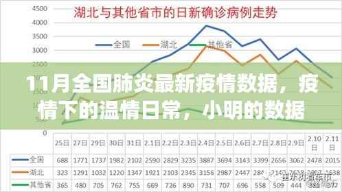 11月全国肺炎疫情最新数据,温情日常与抗疫故事,小明的数据探秘之旅