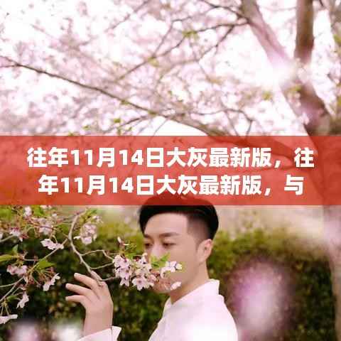 往年11月14日大灰最新版,与自然美景的邂逅,心灵平和之旅启程