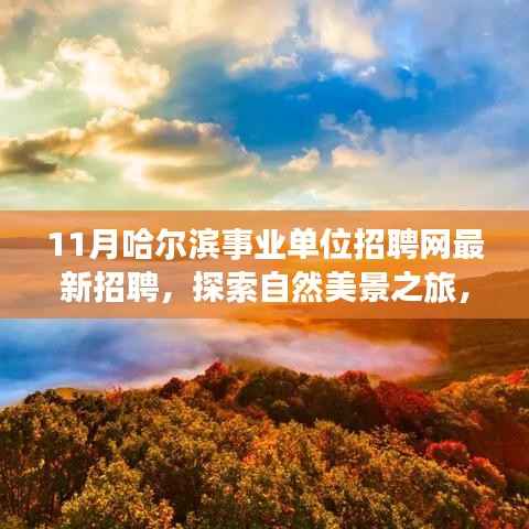 十一月哈尔滨事业单位招聘网,新职位与自然探索之旅,追寻内心宁静的起点