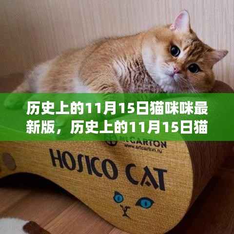 历史上的猫咪咪,学习之源与自信成就感的演变之路(最新版)