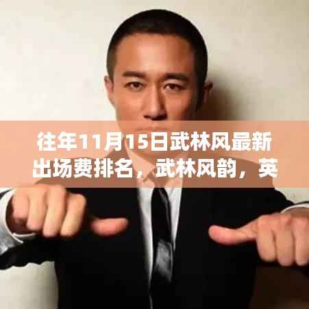 揭秘武林风韵英雄豪杰,往年11月15日最新出场费排名揭晓!
