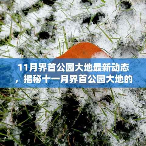 揭秘十一月界首公园大地最新动态,公园发展新篇章开启
