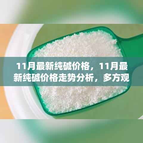 11月最新纯碱价格,11月最新纯碱价格走势分析,多方观点碰撞与个人立场阐述