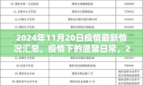 疫情下的阳光时刻,2024年11月20日疫情最新情况及温馨日常