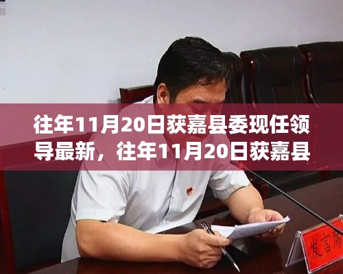 获嘉县委领导最新动态及概览,历年11月20日更新数据解析