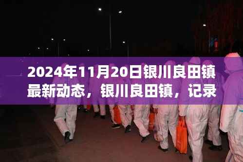 银川良田镇最新动态回顾,记录崭新篇章的2024年11月20日