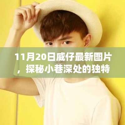 探秘小巷深处的独特风味，威仔最新图片及其背后的故事（11月20日更新）