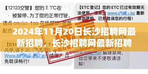 长沙招聘网最新求职指南,一步步教你如何求职成功(初学者与进阶用户适用)