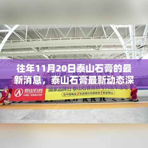 泰山石膏最新动态深度解析,独特魅力与用户体验揭秘(日期标注版)