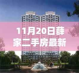薛家二手房市场深度解析与最新房源信息(11月最新更新)