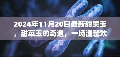 秋日收获之旅,甜菜玉的奇遇