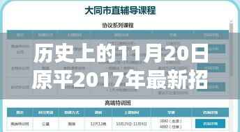历史上的11月20日与最新原平市政府招聘指南,从初学者到进阶用户的参与流程