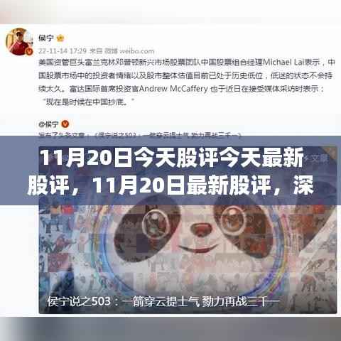 深度解析市场走势与投资机会,最新股评报告揭示投资机会