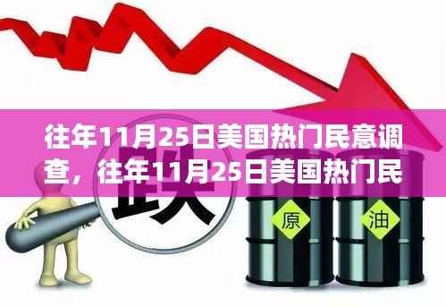 往年11月25日美国热门民意调查深度解析,洞悉民心的大数据洞察