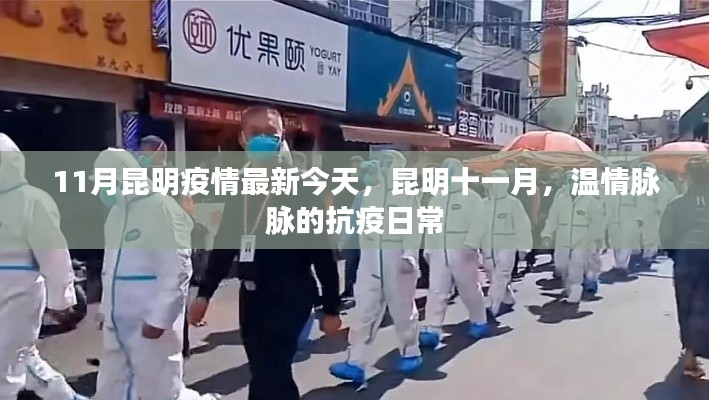 昆明十一月抗疫日常,温情脉脉的最新疫情进展