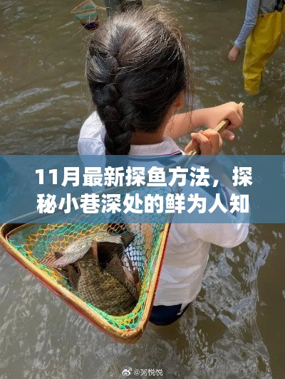 11月最新探鱼秘籍,揭秘小巷深处捕鱼秘境的鲜为人知体验指南