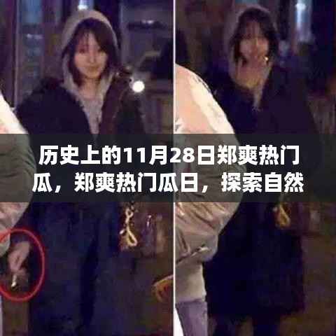 郑爽热门瓜日探秘自然美景,追寻内心宁静之旅